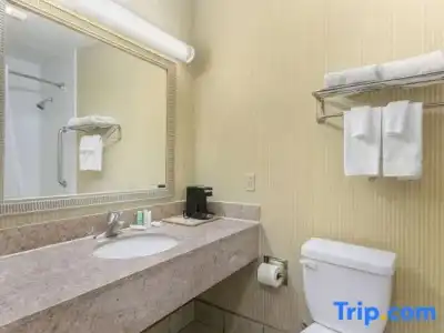 Quality Inn & Suites Oceanside near Camp Pendleton - 51