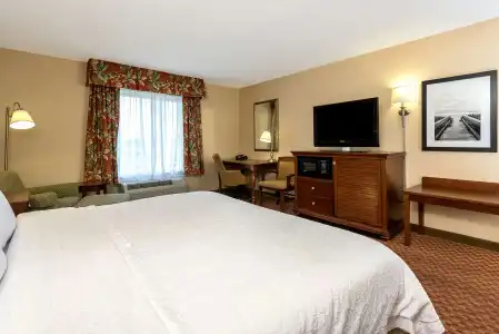 Hampton Inn & Suites Florence-North-I-95 - 3