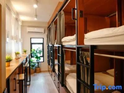 Tropical Summer Hostel - 43