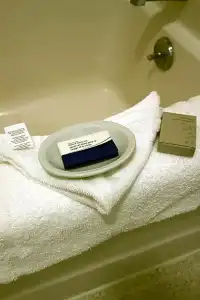 Flagship Inn and Suites - 37