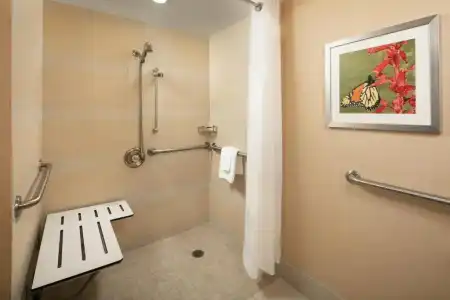 Holiday Inn AUSTIN-TOWN LAKE by IHG - 59