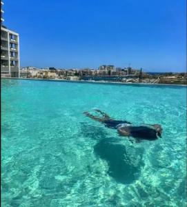 Grands Suites Residences and Spa - 32