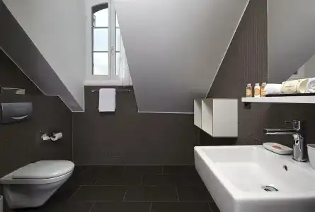 Bären Langenthal - 7