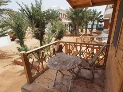 Shams & Dive Centre - 68