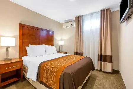 Comfort Inn Santa Monica - West Los Angeles - 3