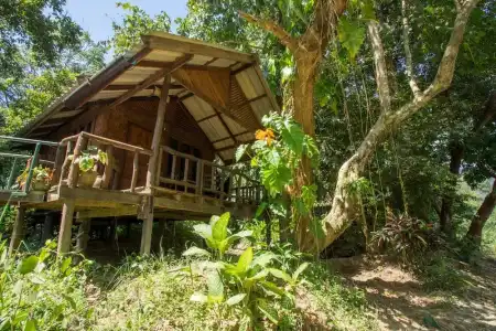 Khao Sok Riverside Cottage - 41