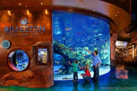 Silverton Casino Lodge - Newly Renovated - 31