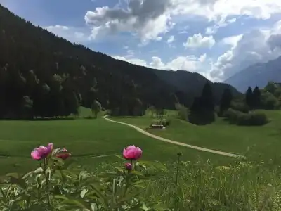 Cavallino Lovely - 25