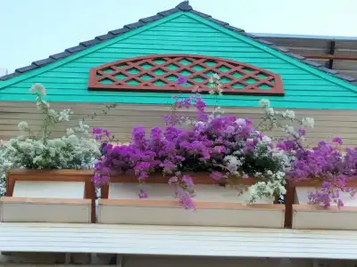 Sandy Serviced Apartment - 15