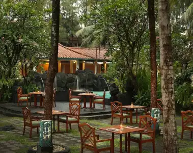 Meliá Purosani - 15