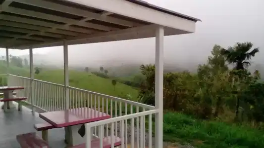 Lovely Farm - 33