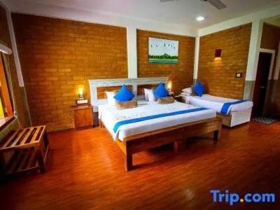 Elephas Resort & Spa - 16