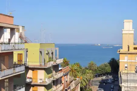 I Citri - 83