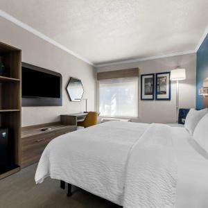 Holiday Inn Express Saint Simons Island by IHG - 47