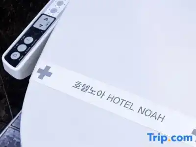 Noah - 28
