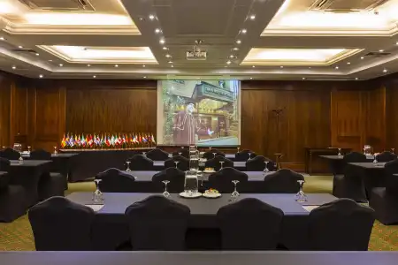 Park Plaza Santiago - 13