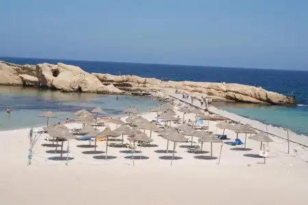 Delphin El Habib - 17