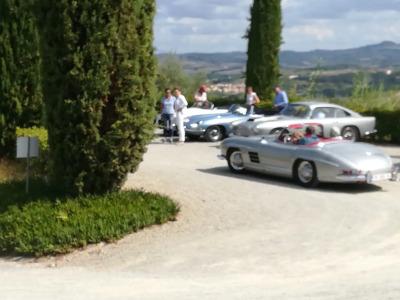 Poderi Arcangelo - 17