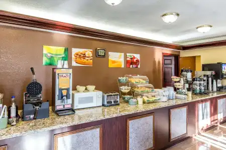 Quality Inn & Suites Macon North - 7