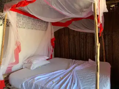 New Jambo Bungalows - 45