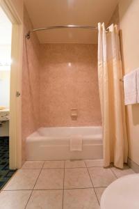 Royal Plaza Inn - 58