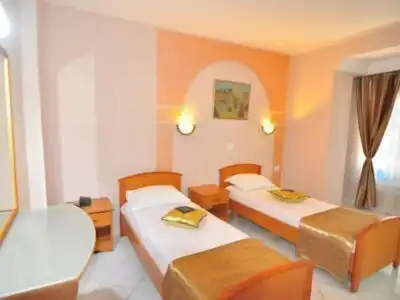 Hôtel Les Palmes d'Or - 42