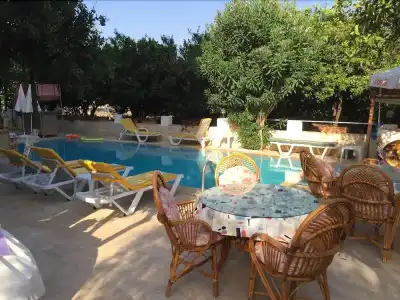 Ipek Camyuva - 12