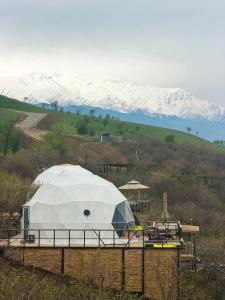EcoHouse Glamping by ART - 127