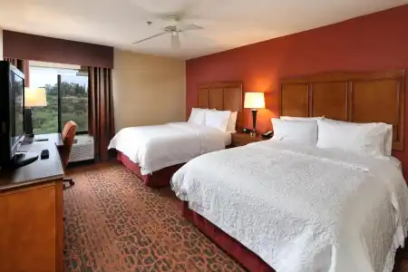 Hampton Inn & Suites Tucson-Mall - 57