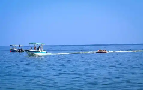 Sandy Beach and Resort - 8