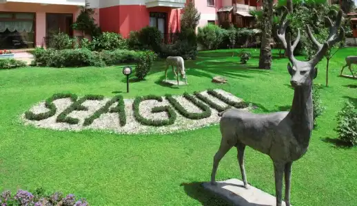 Seagull - 26
