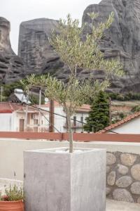 Oikia Guesthouse - 7