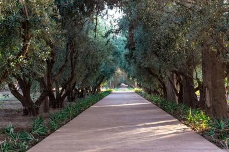 The Oberoi - 49