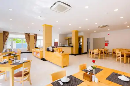 Dao Ngoc - 13