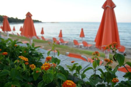 Al Mare - 15
