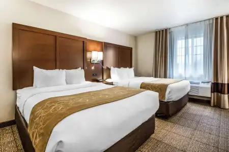 Comfort Suites at Par 4 Resort - 3