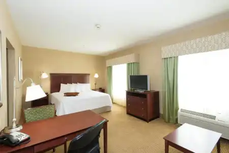 Hampton Inn & Suites Abilene I-20 - 45