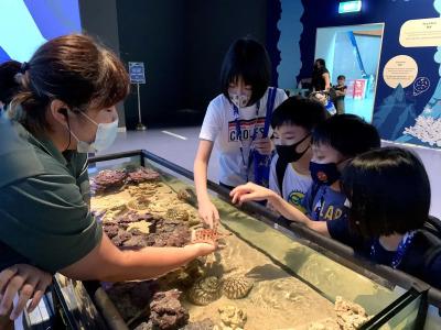 Resorts World Sentosa - Equarius Villas - 21