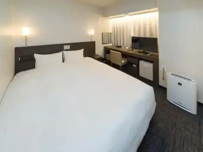 Sotetsu Fresa Inn Ochanomizu Jimbocho - 40