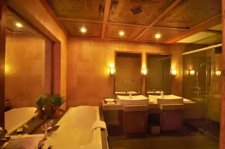 Vedic Village Spa Resort - 136