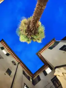 Ricasoli Garden Relais - 0