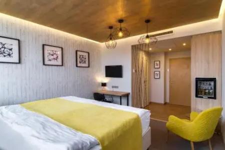 Bodrog Wellness - 4
