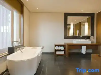 The St. Regis Lhasa Resort - 90