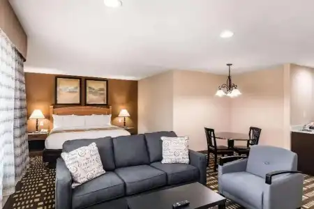 Quality Inn & Suites Plano East - Richardson - 64