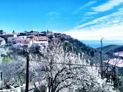 Three Gracia - 17