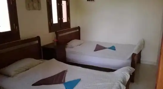 Nile Compound - 3