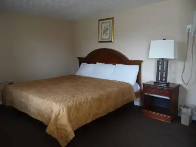Falcon Inn - 3
