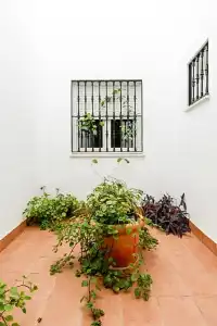 Cool Sevilla - 58