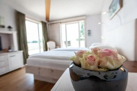 Hirschen in Freiburg-Lehen - 38