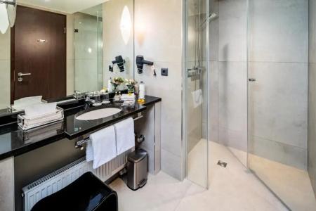 Park Plaza Trier, Germany - 65